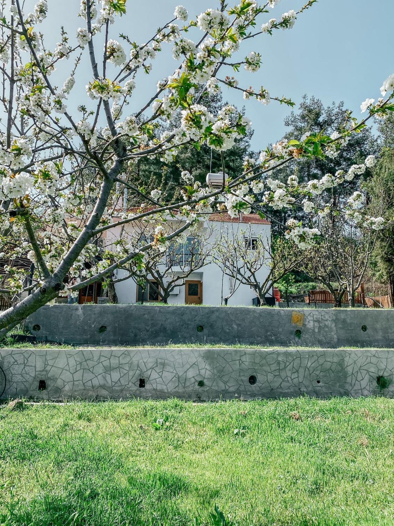 Milea Mansion Villa Limasol Buitenkant foto